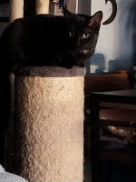 /album/20-10-2025/afbeelding-van-whatsapp-op-2025-10-18-om-08-51-15-ea8f4149-jpg/